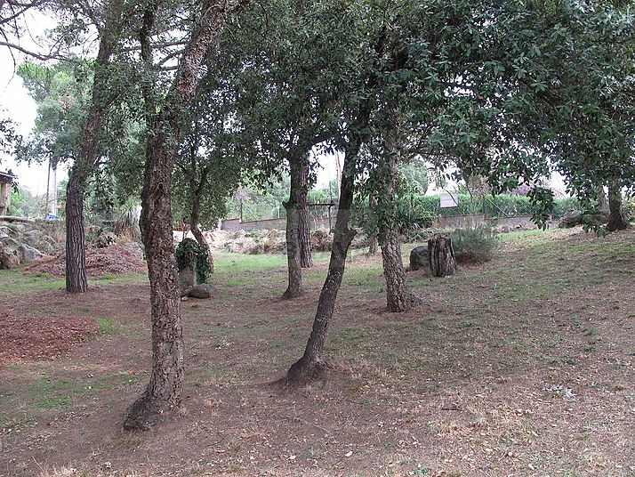 Terreno en Sta Cristina de Aro 