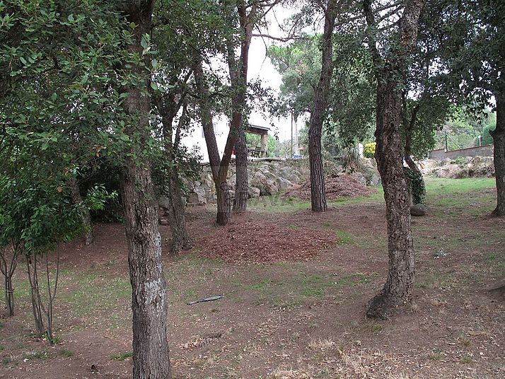 Terreny a Sta Cristina de Aro 