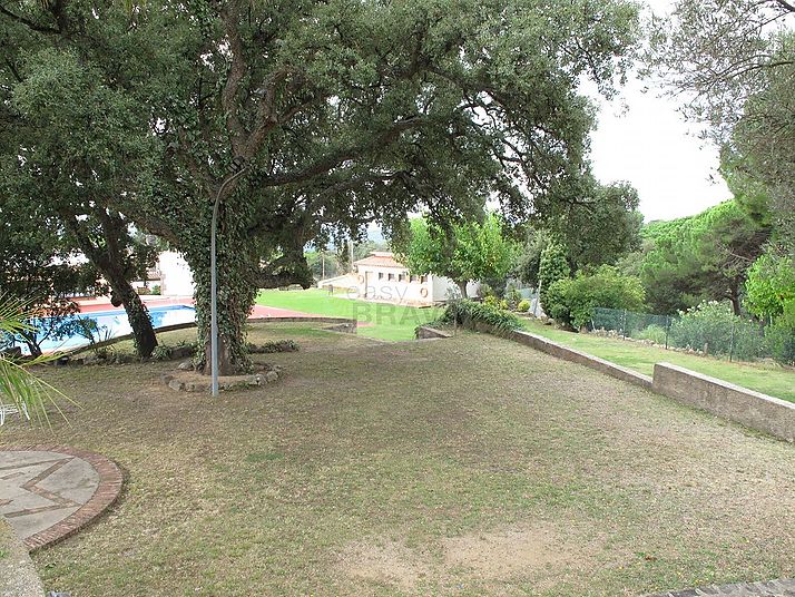 Jardín 