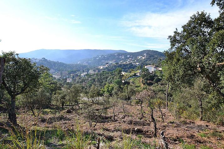 Großes Baugrundstück in Rio de Oro