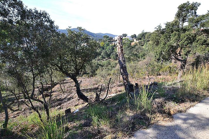 Großes Baugrundstück in Rio de Oro