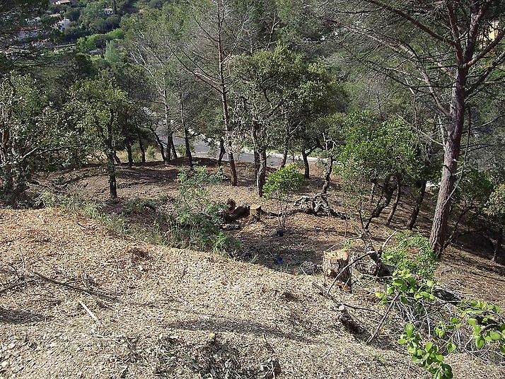 Large building plot in Rio de Oro
