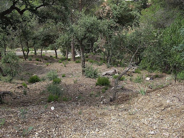 Large building plot in Rio de Oro