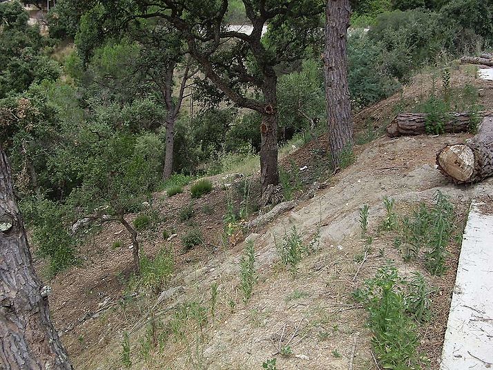 Large building plot in Rio de Oro