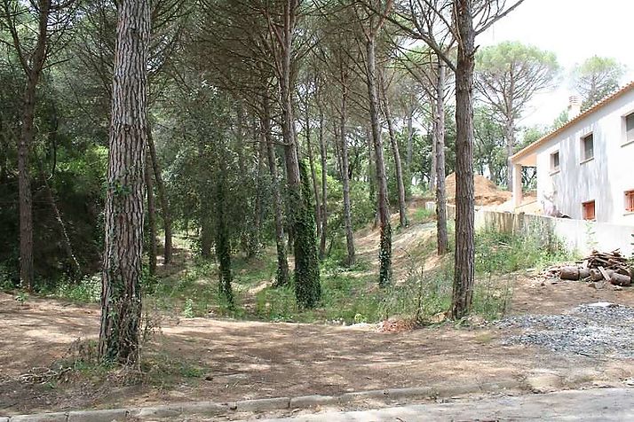 Land located in polygon II of &quot;MAS PERE&quot;.