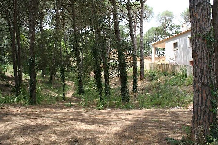 Land located in polygon II of &quot;MAS PERE&quot;.