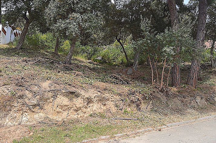 Parcela ubicada en Roca de Malvet