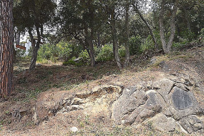 Parcela ubicada en Roca de Malvet