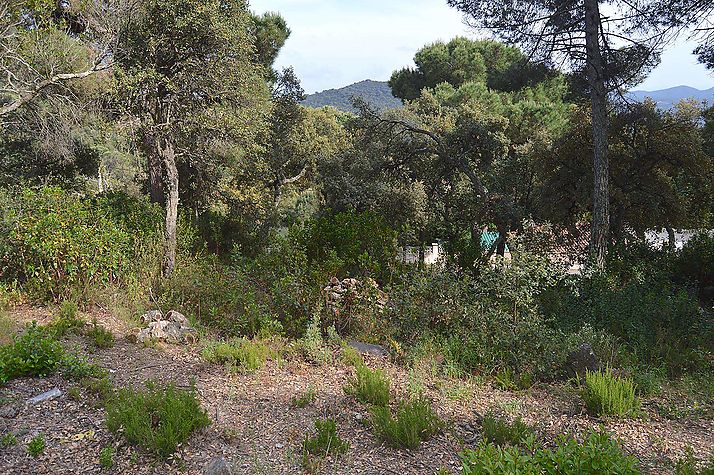 Parcela ubicada en Roca de Malvet