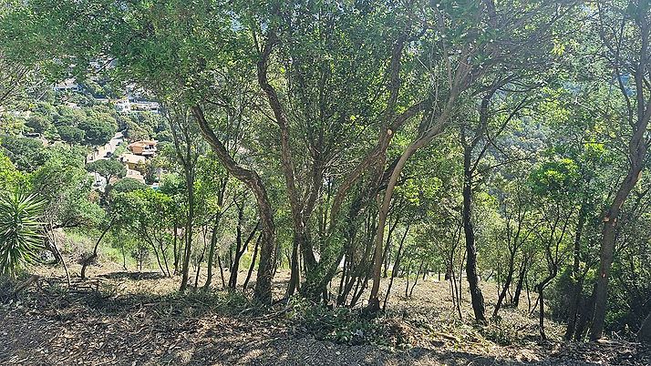 Plot with side sea views