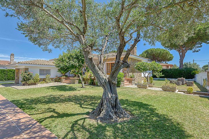 house to move in with swimming pool