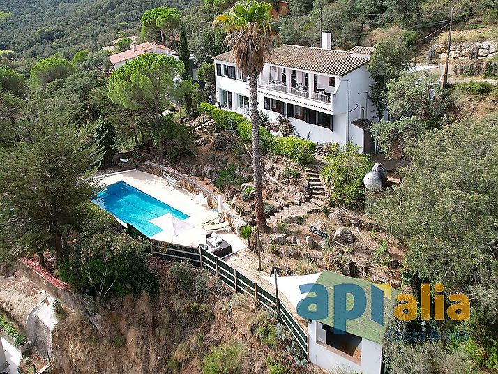 House with  swimming pool and independent apartment