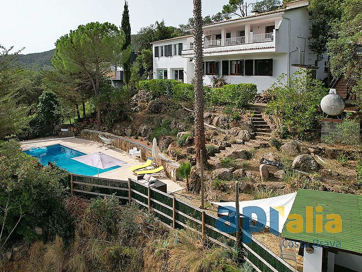 House with  swimming pool and independent apartment