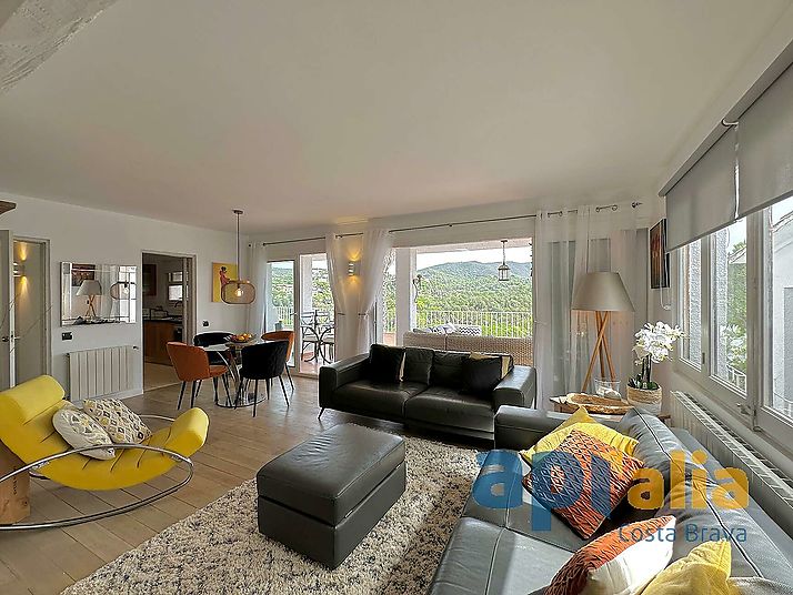 House with  swimming pool and independent apartment
