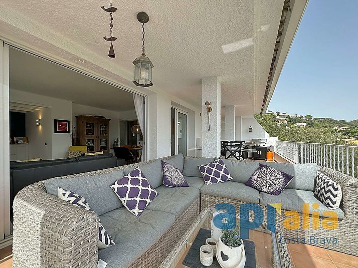 House with  swimming pool and independent apartment