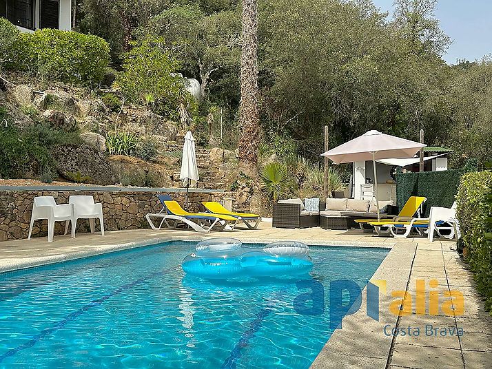 House with  swimming pool and independent apartment