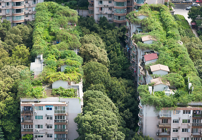 ¿A qué se llama un edificio verde?